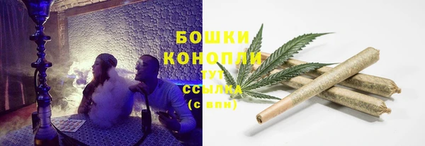 сатива Туринск