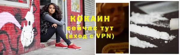 шишки Магадан