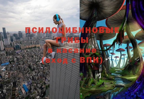 шишки Магадан