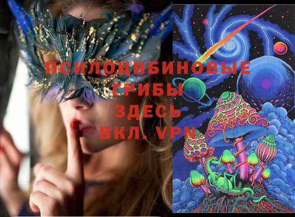 шишки Магадан