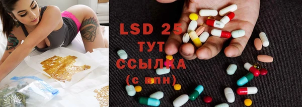 шишки Магадан