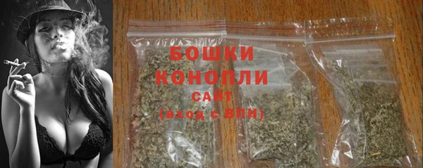 хмурый Липки
